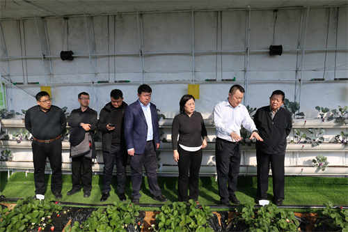 恒峰g22 - 官网入口 -- 每天有惊喜