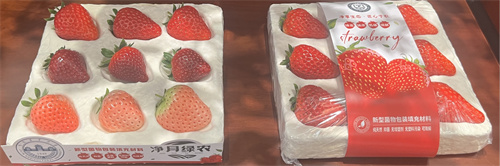 恒峰g22 - 官网入口 -- 每天有惊喜