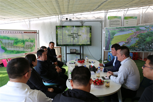 恒峰g22 - 官网入口 -- 每天有惊喜